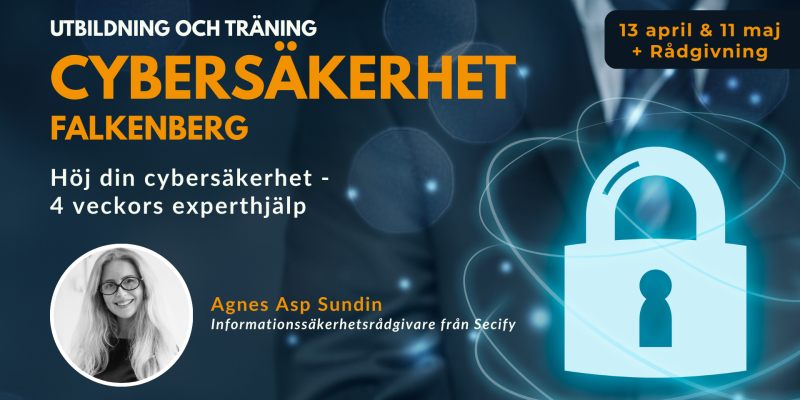 Höj din cybersäkerhet - 4 veckor med experthjälp